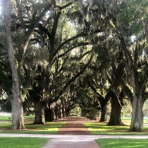 Meet your Posher, Tanner